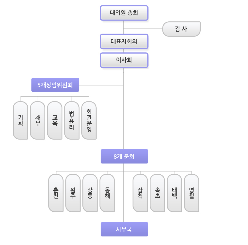 조직도 이미지 - 대의원총회, 대표자회의, 이사회, 감사, 5개상임위원회, 특별사업위원회, 8개 분회